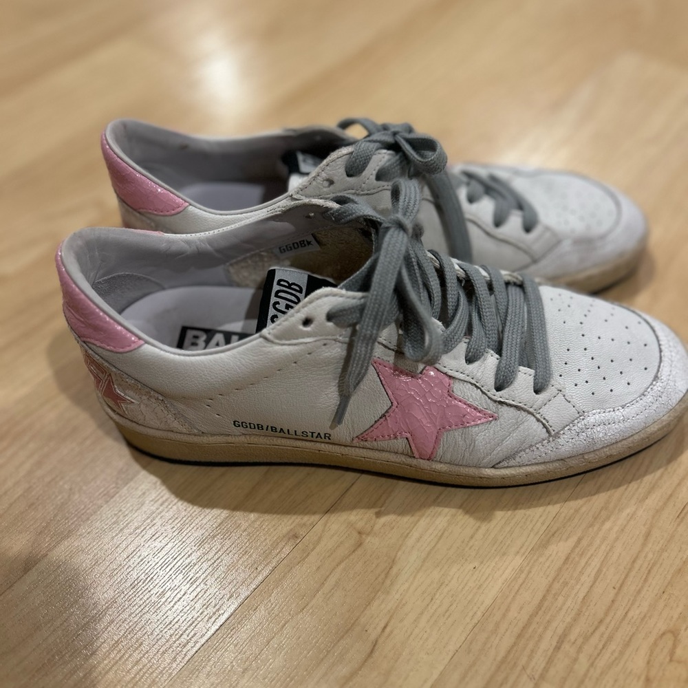 💗 Beautiful Golden Goose 💗